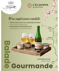 Visite du Domaine Dupont avec un déjeuner préparé par le Chef Gilles Poudras