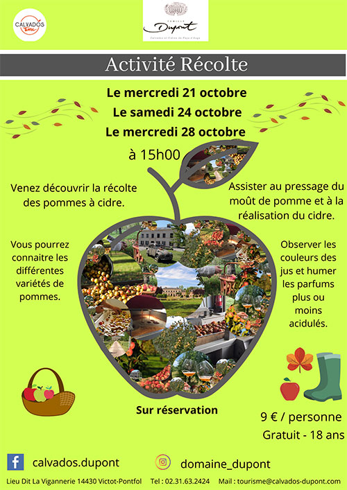 Activité Récolte des pommes