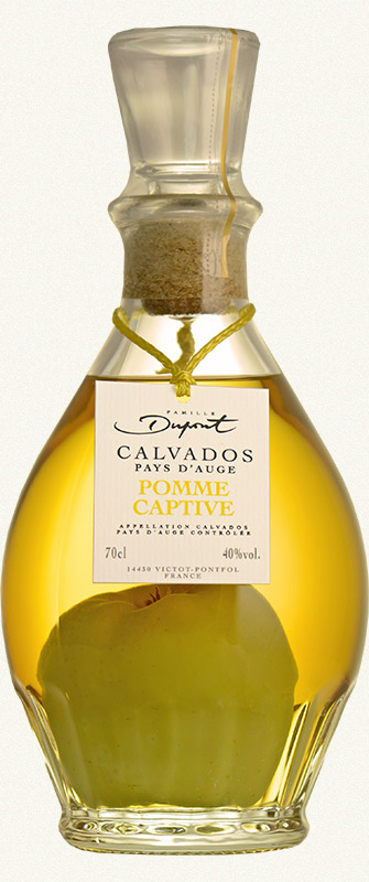 Bottle Domaine Dupont Pomme Captive