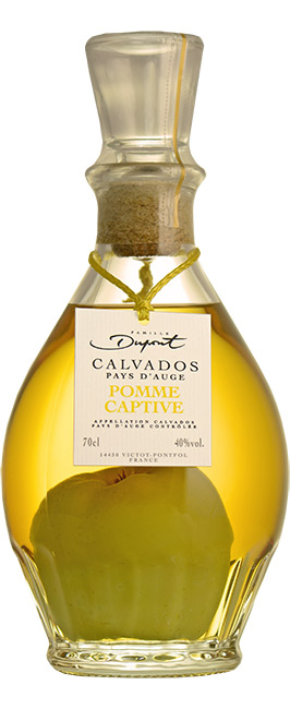 Bouteille Domaine Dupont Pomme Captive