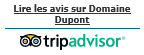 Trip Advisor